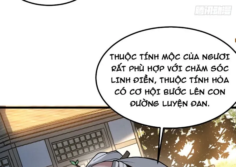 Người Khác Luyện Cấp Ta Tu Tiên, Tới Đại Thừa Kỳ Thì Rời Núi Chapter 8 - Trang 2