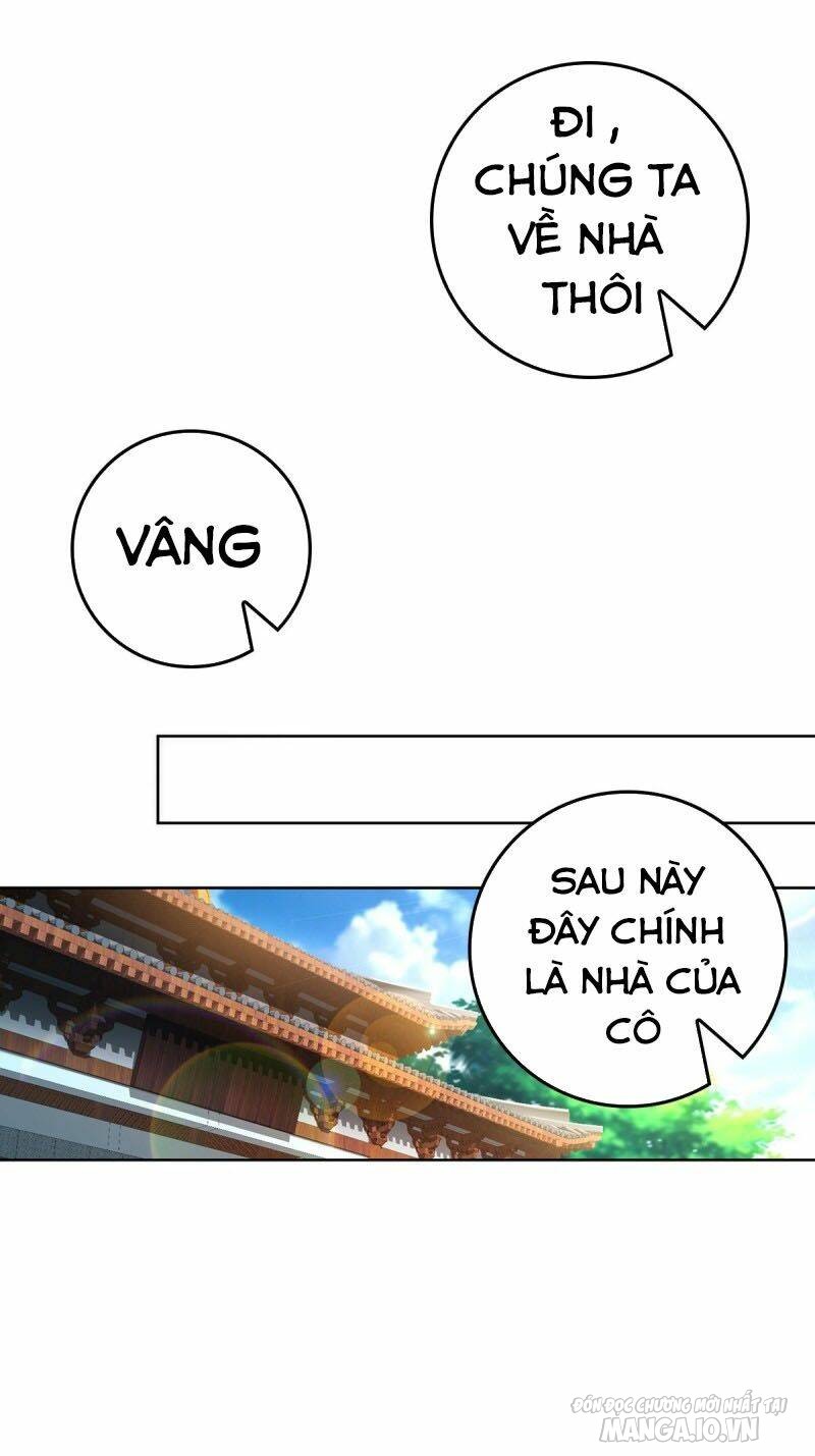 Người Ở Rể Bị Ép Thành Phản Diện Chapter 11 - Trang 2