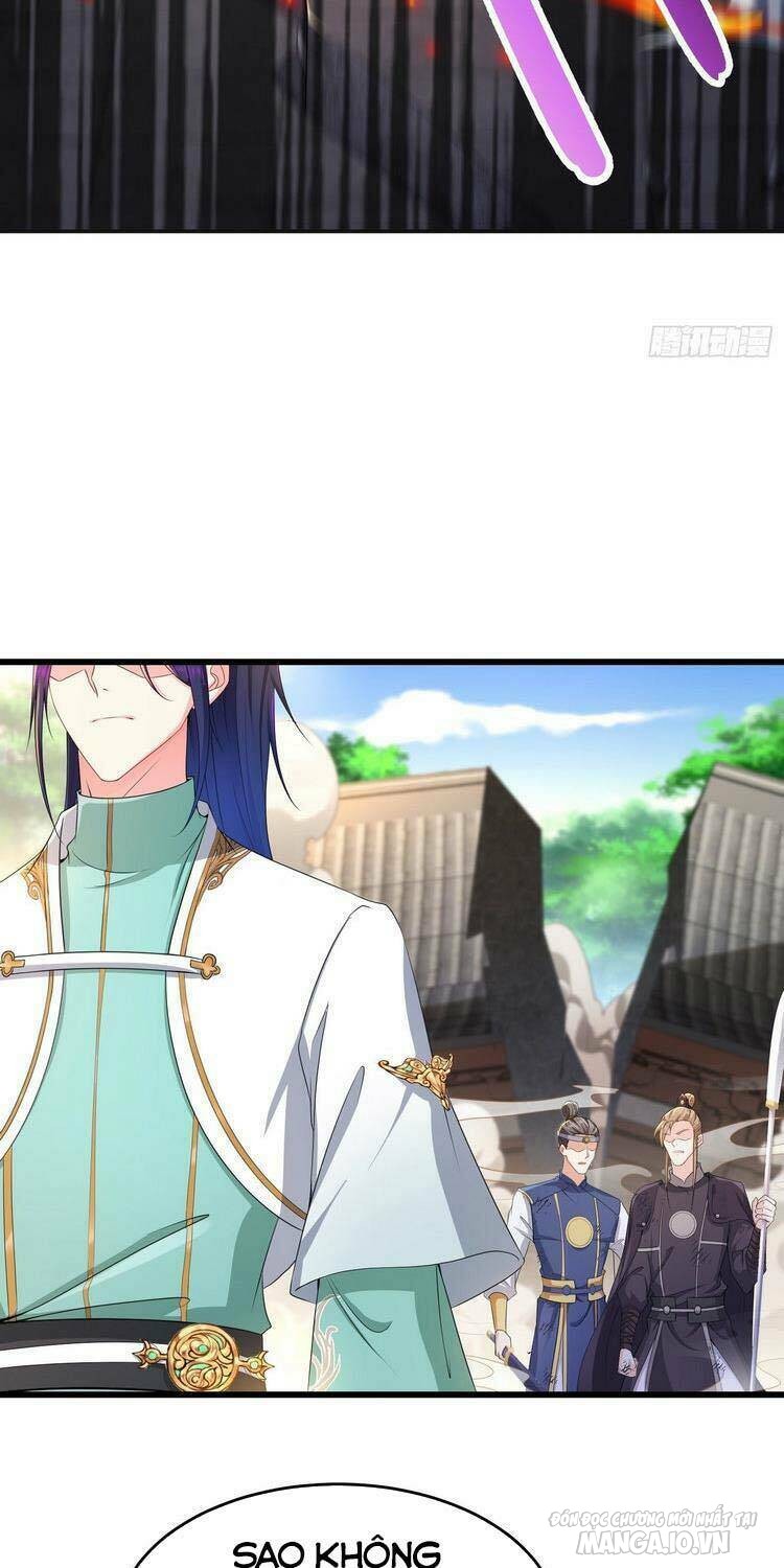 Người Ở Rể Bị Ép Thành Phản Diện Chapter 173 - Trang 2