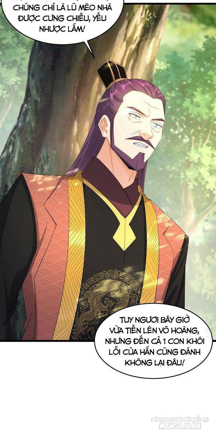 Người Ở Rể Bị Ép Thành Phản Diện Chapter 173 - Trang 2