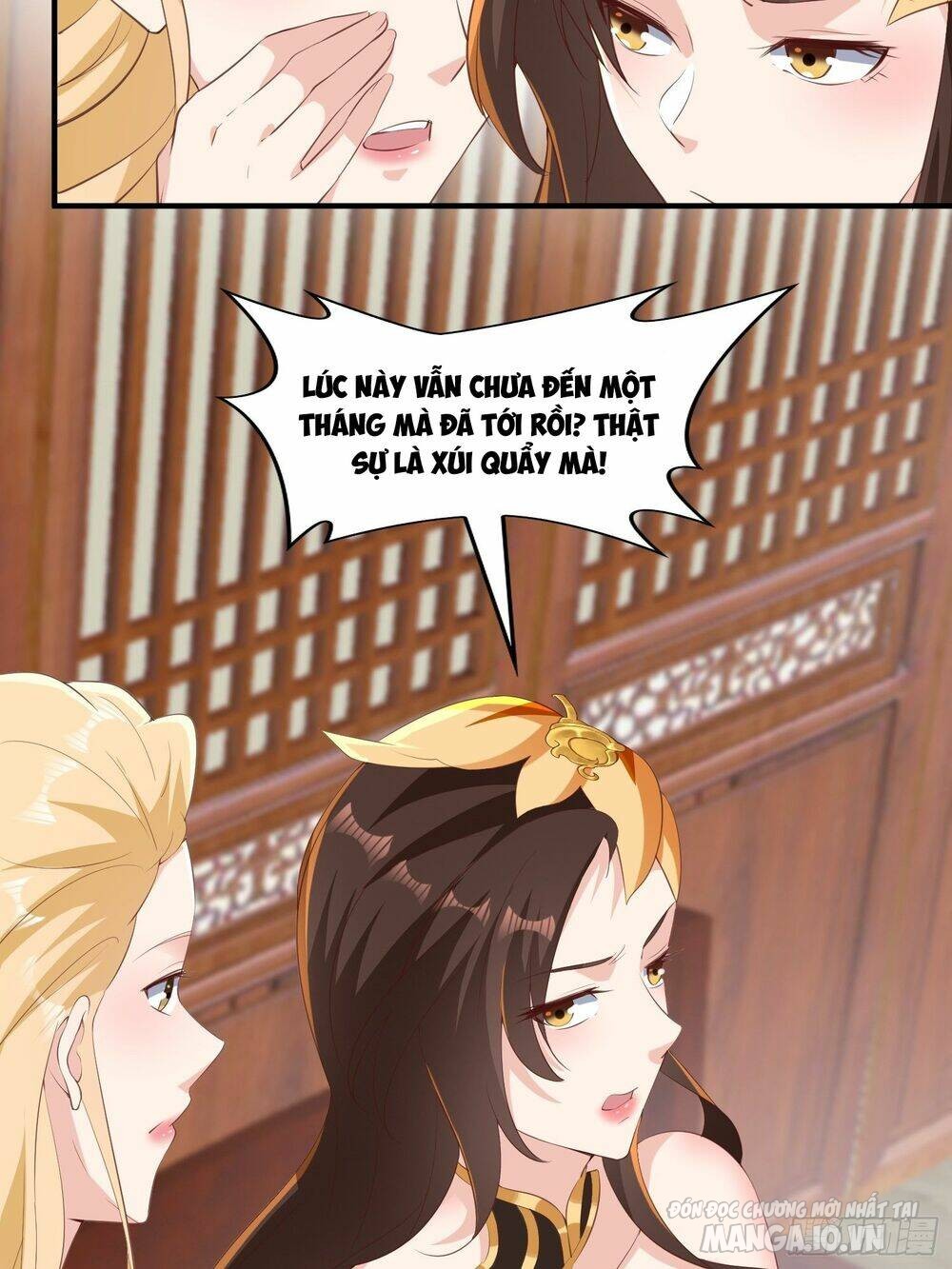 Người Ở Rể Bị Ép Thành Phản Diện Chapter 298 - Trang 2