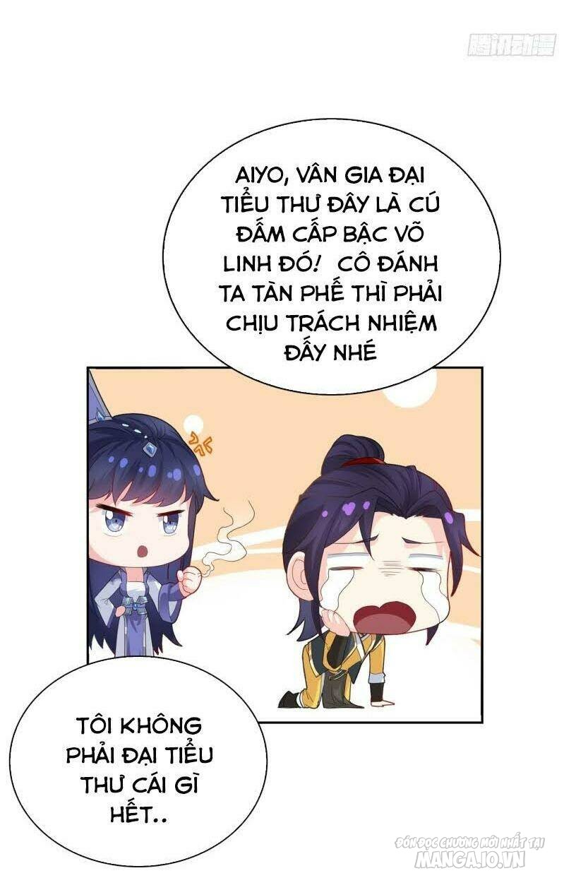 Người Ở Rể Bị Ép Thành Phản Diện Chapter 39 - Trang 2