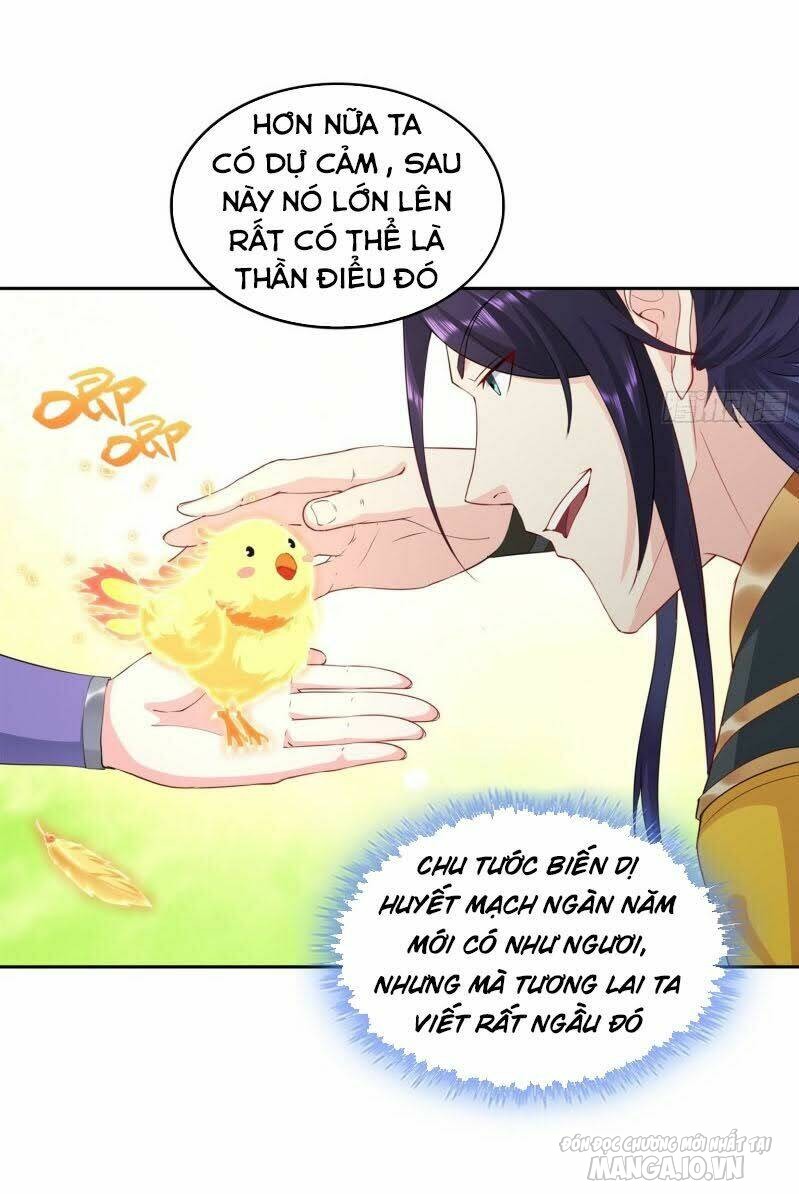 Người Ở Rể Bị Ép Thành Phản Diện Chapter 39 - Trang 2