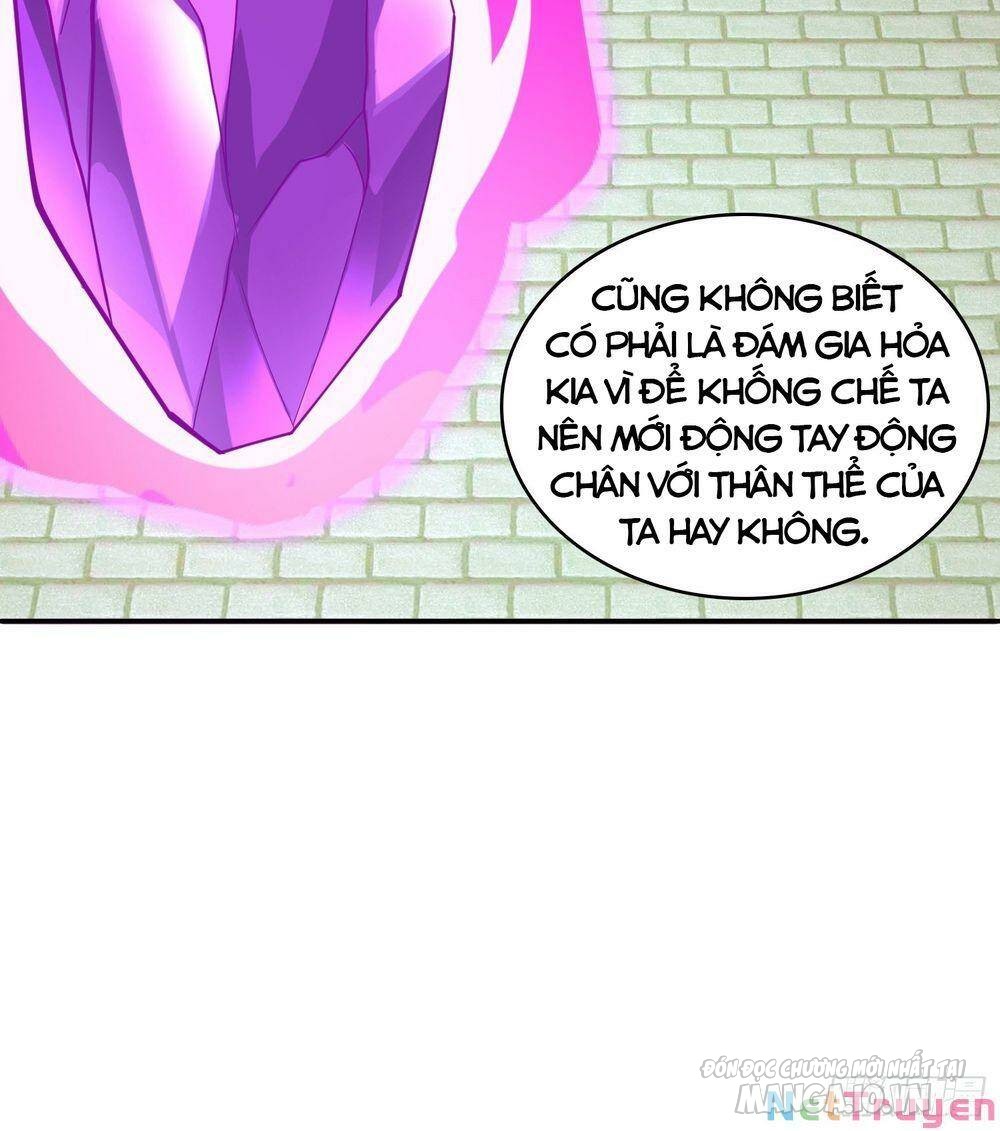 Người Ở Rể Bị Ép Thành Phản Diện Chapter 425 - Trang 2