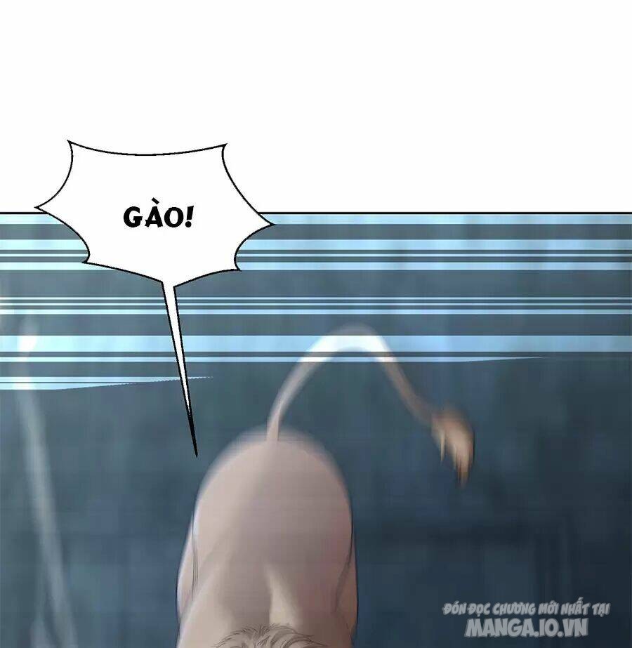 Người Ở Rể Bị Ép Thành Phản Diện Chapter 490 - Trang 2