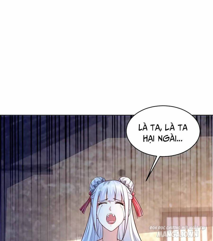 Người Ở Rể Bị Ép Thành Phản Diện Chapter 492 - Trang 2