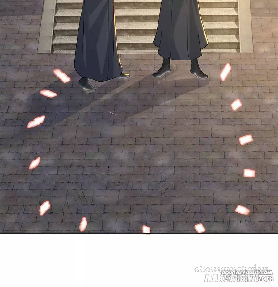 Người Ở Rể Bị Ép Thành Phản Diện Chapter 508 - Trang 2