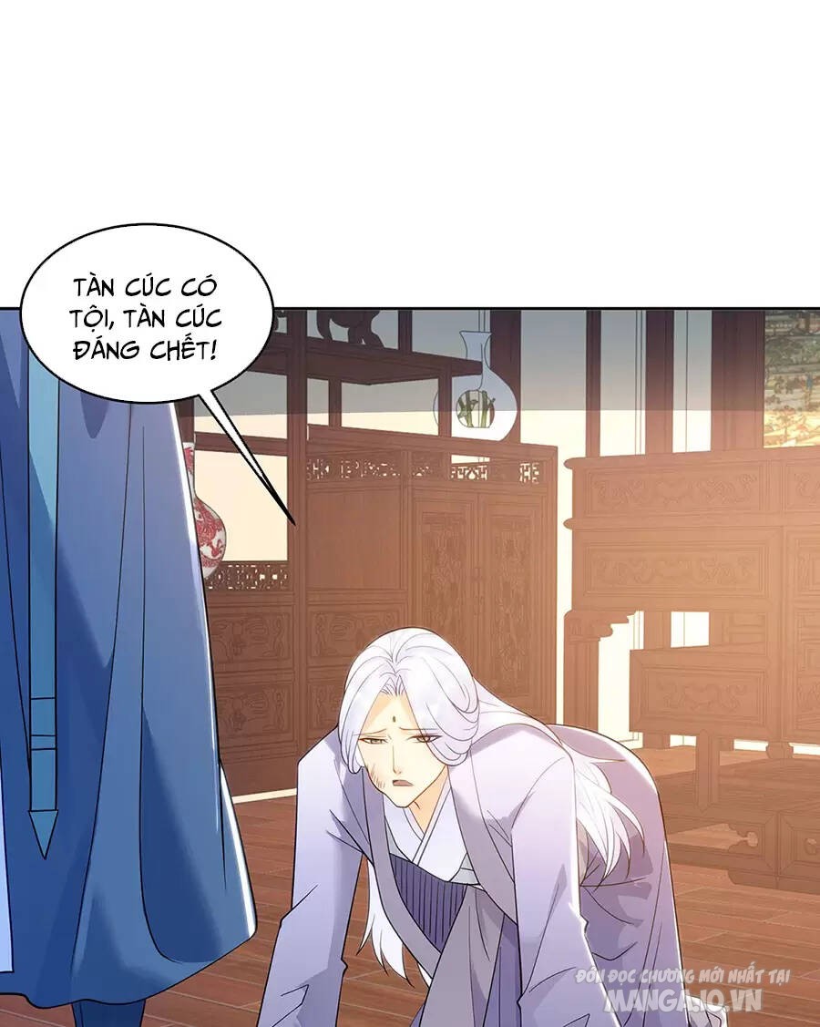 Người Ở Rể Bị Ép Thành Phản Diện Chapter 517 - Trang 2