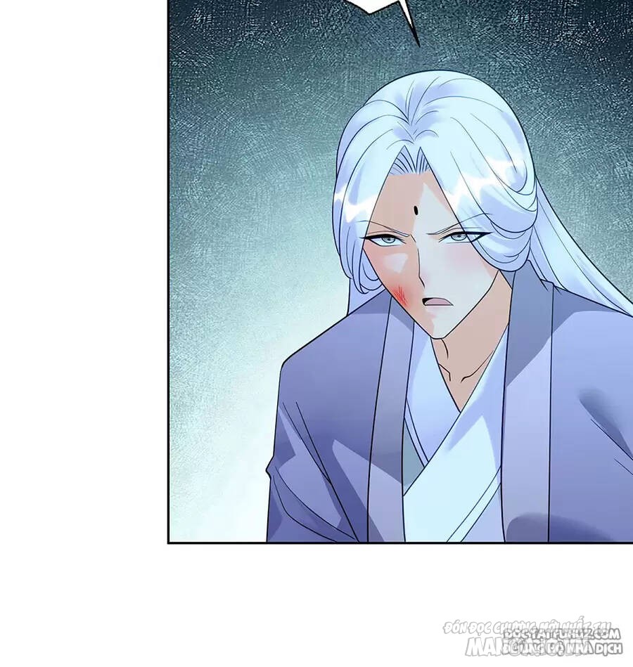 Người Ở Rể Bị Ép Thành Phản Diện Chapter 517 - Trang 2