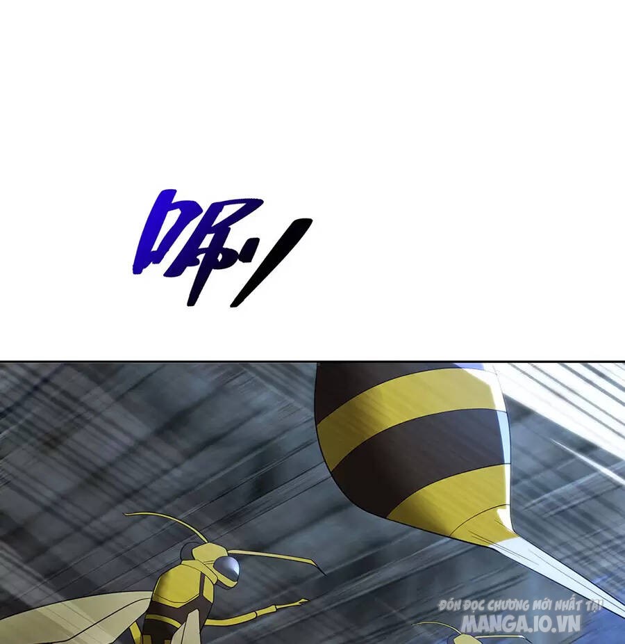 Người Ở Rể Bị Ép Thành Phản Diện Chapter 517 - Trang 2