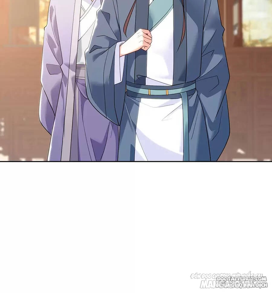 Người Ở Rể Bị Ép Thành Phản Diện Chapter 517 - Trang 2