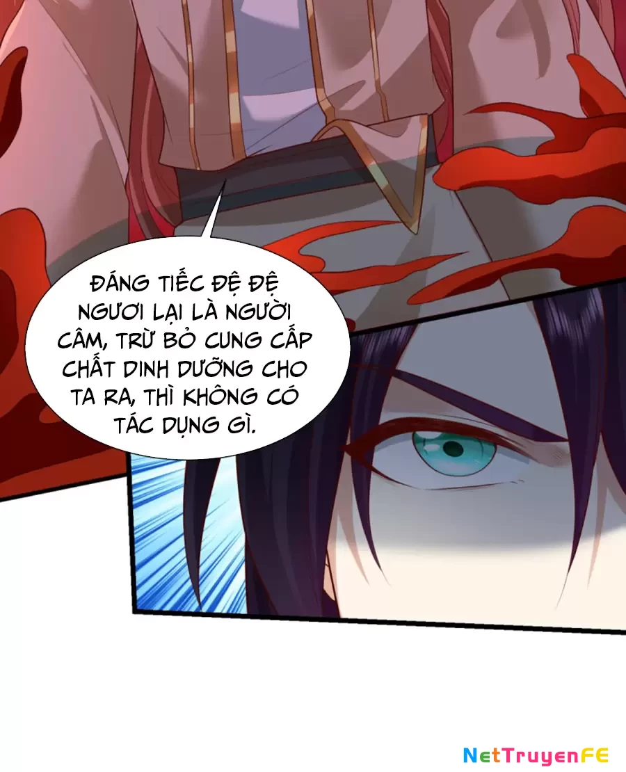 Người Ở Rể Bị Ép Thành Phản Diện Chapter 626 - Trang 2