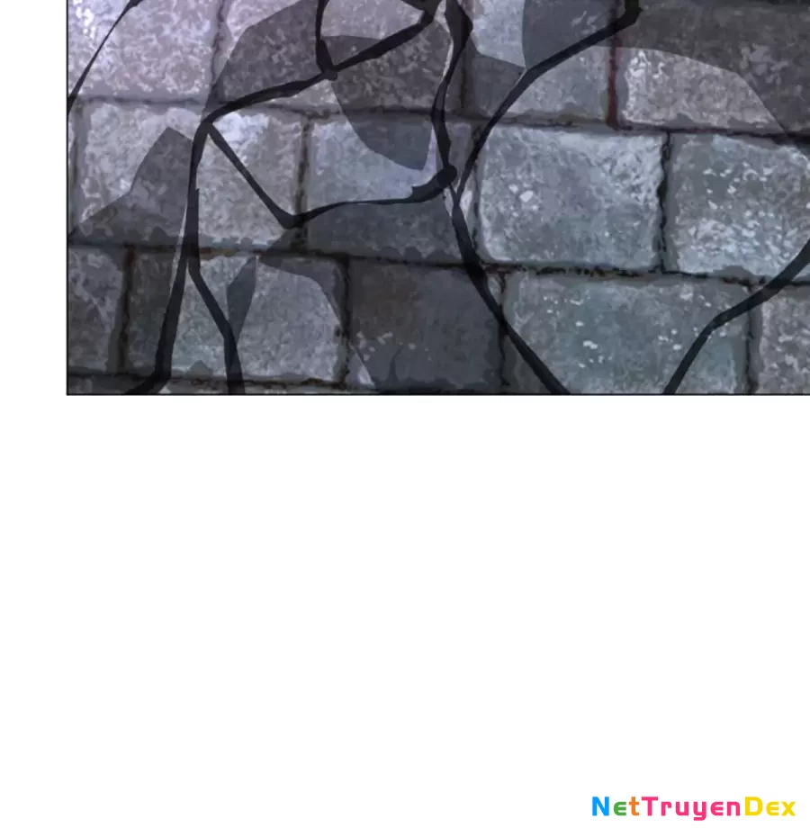 Người Ở Rể Bị Ép Thành Phản Diện Chapter 639 - Trang 2