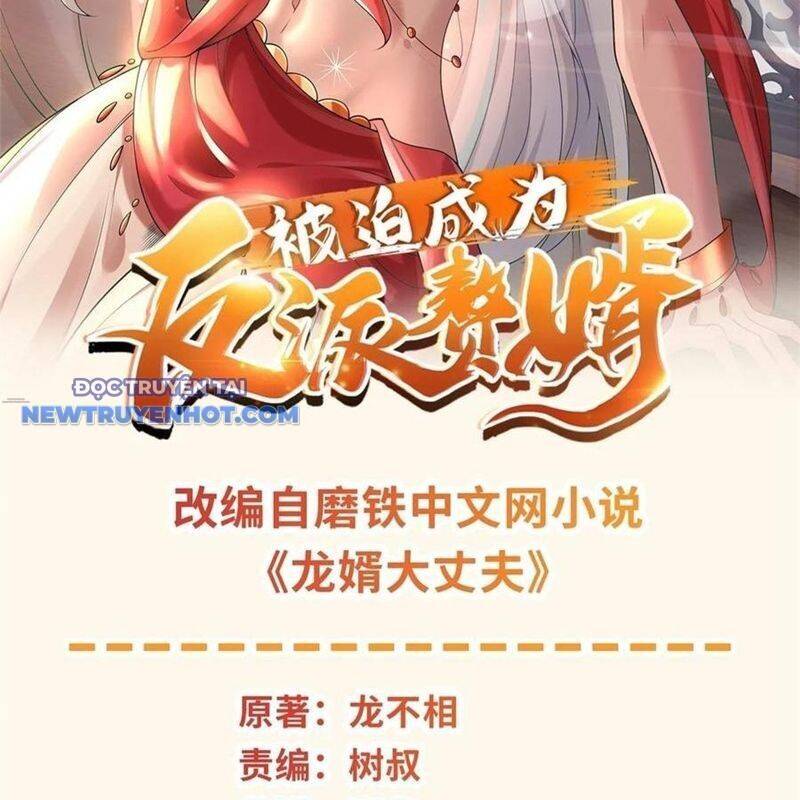 Người Ở Rể Bị Ép Thành Phản Diện Chapter 642 - Trang 2