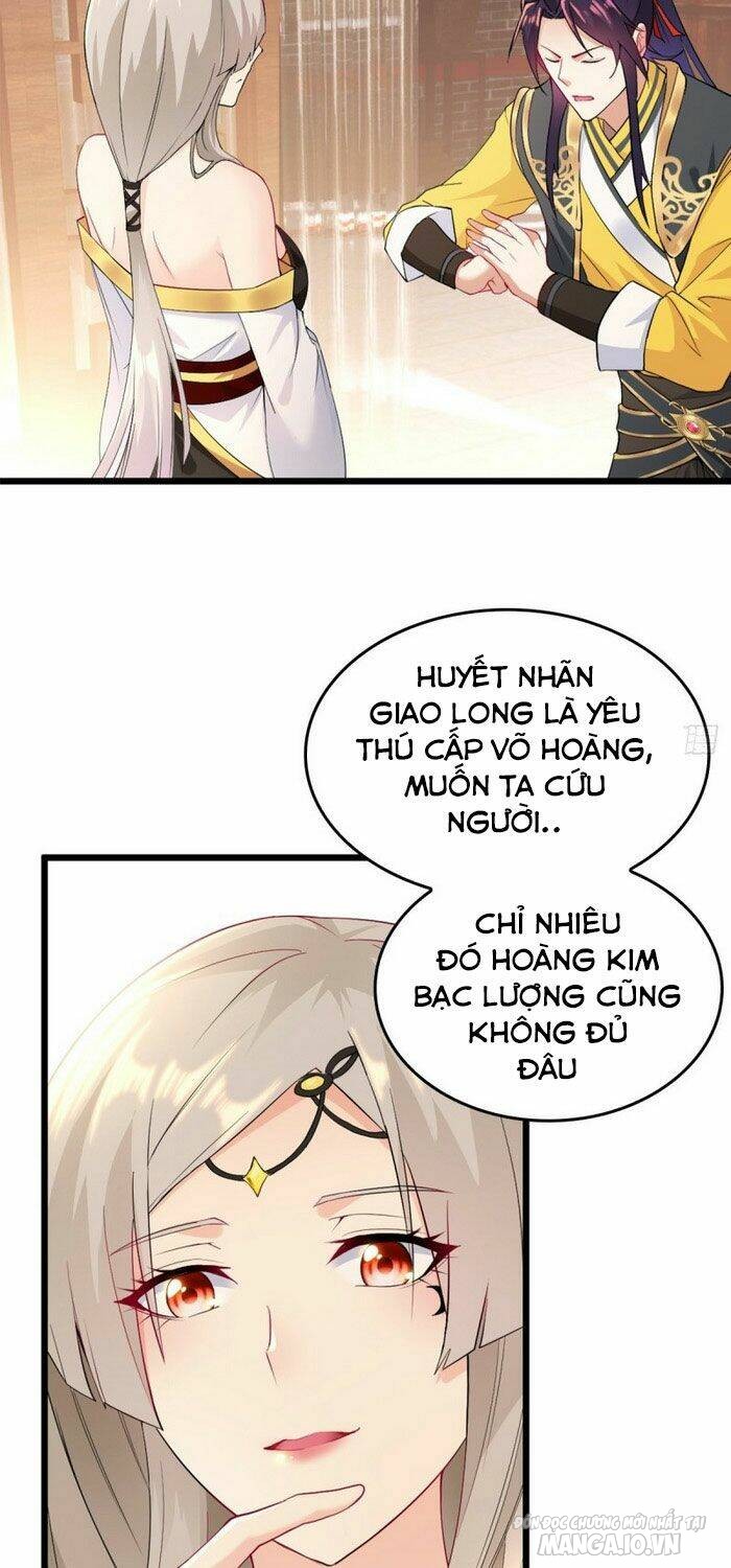 Người Ở Rể Bị Ép Thành Phản Diện Chapter 72 - Trang 2