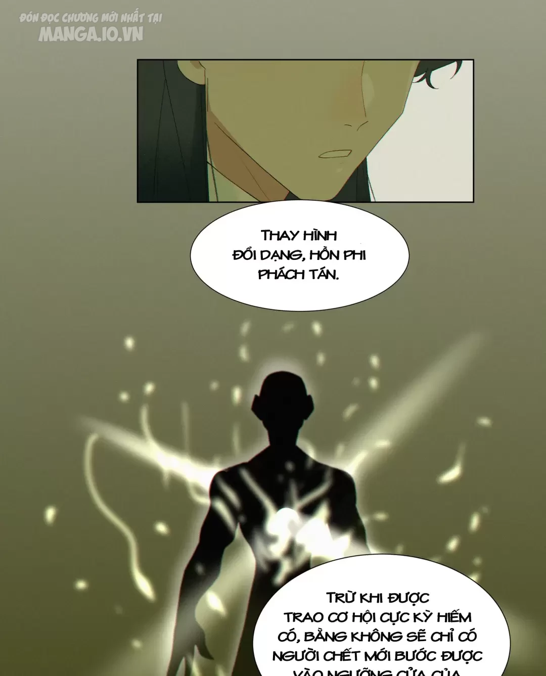 Người Ta Đồn Rằng Nàng Ấy Vừa Xinh Đẹp Lại Nhân Từ Chapter 5 - Trang 2