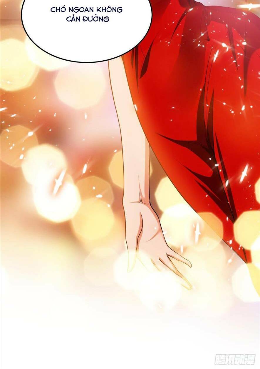 Người Tình Hợp Đồng Của Tổng Tài Chapter 1 - Trang 2