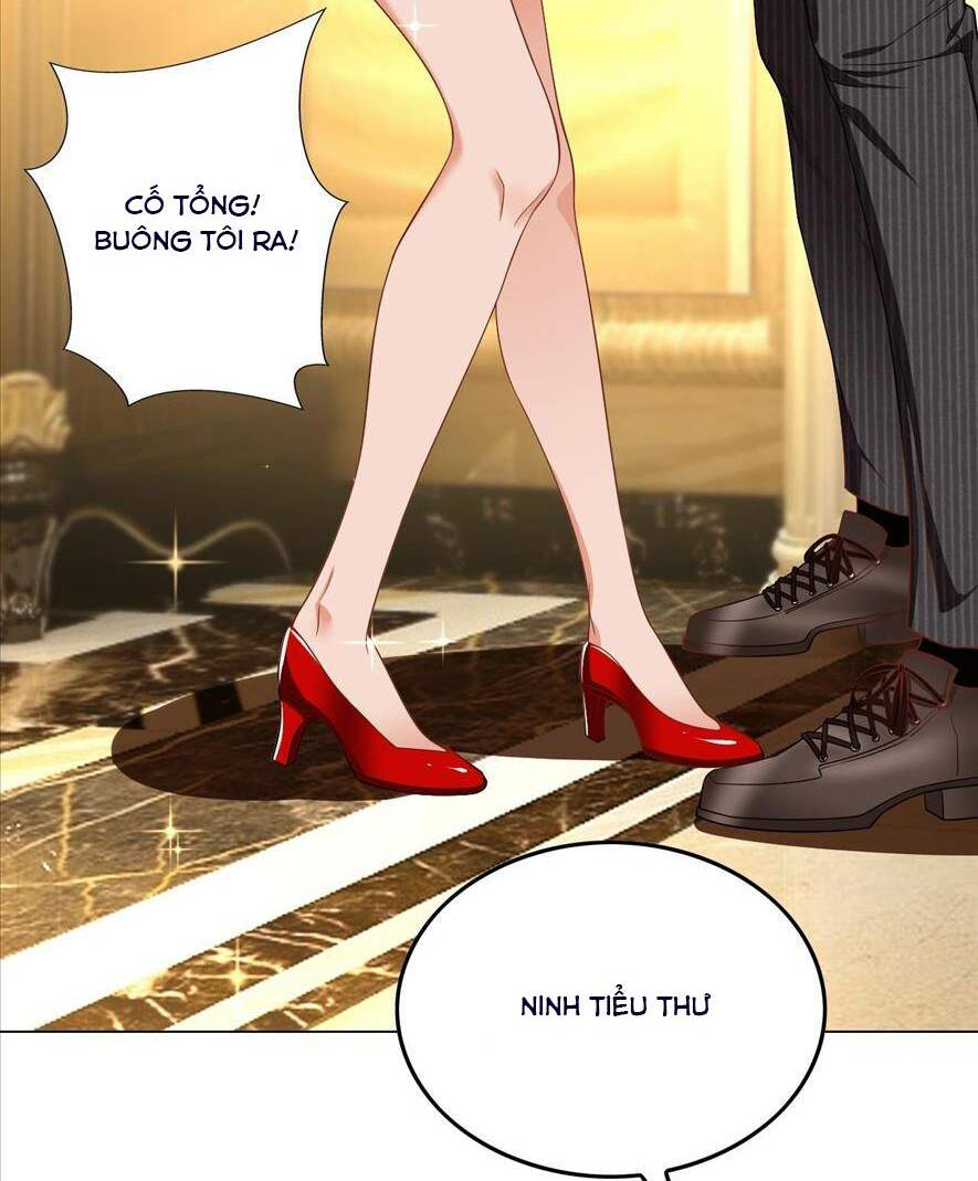 Người Tình Hợp Đồng Của Tổng Tài Chapter 1 - Trang 2