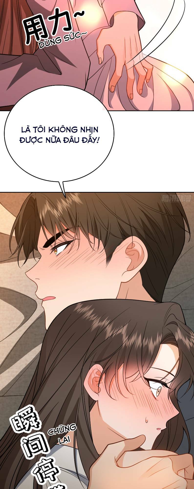 Người Tình Hợp Đồng Của Tổng Tài Chapter 11 - Trang 2