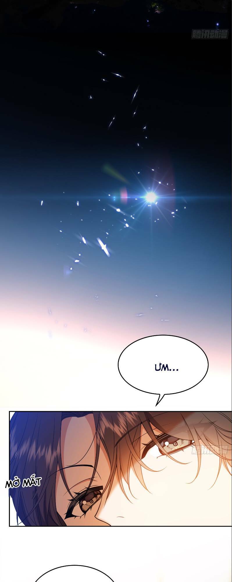 Người Tình Hợp Đồng Của Tổng Tài Chapter 11 - Trang 2