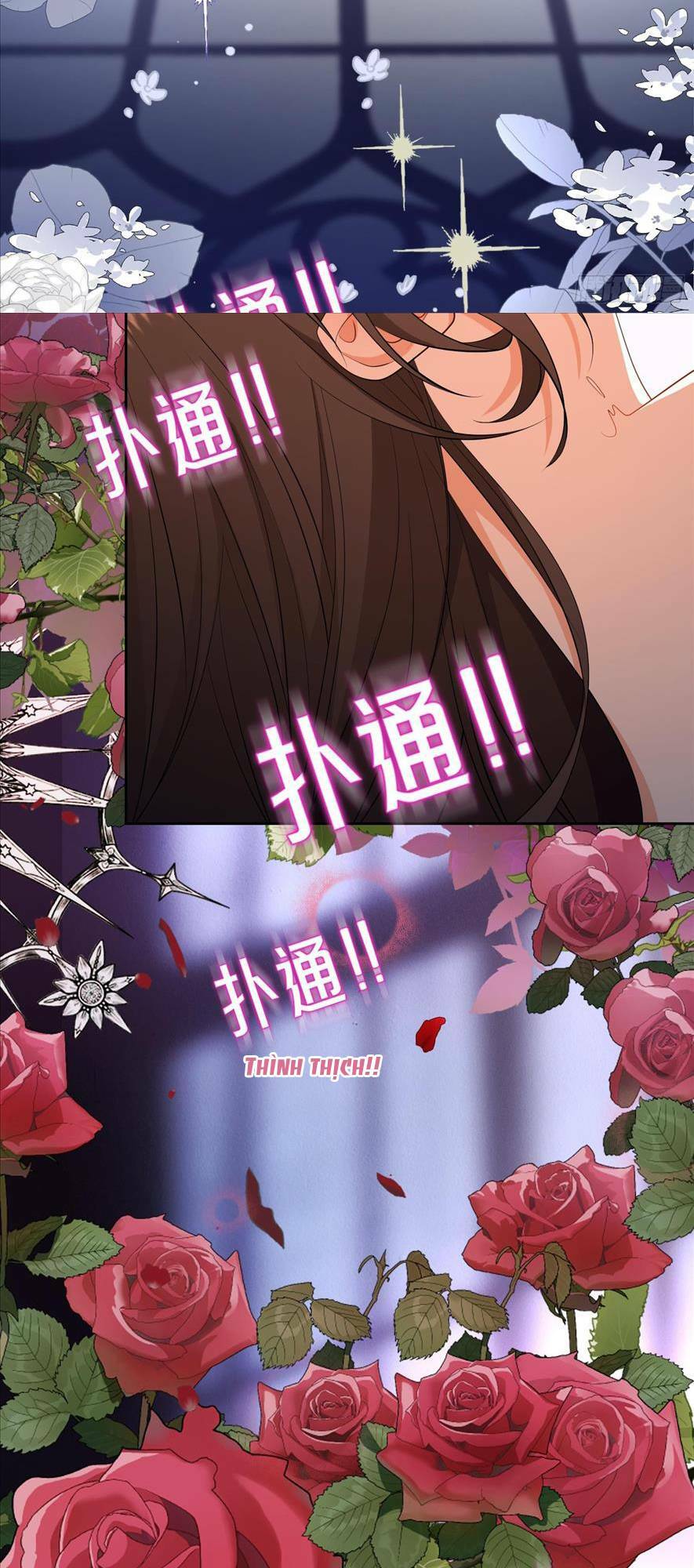 Người Tình Hợp Đồng Của Tổng Tài Chapter 3 - Trang 2