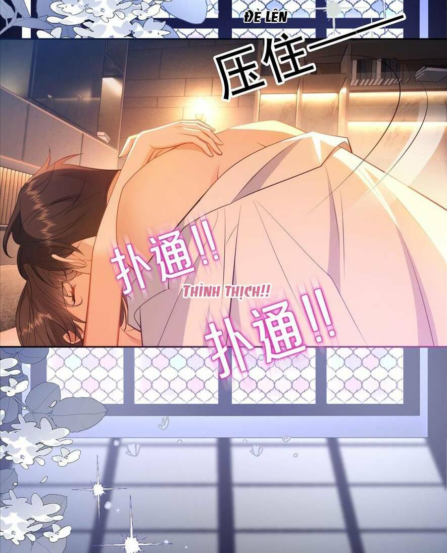 Người Tình Hợp Đồng Của Tổng Tài Chapter 3 - Trang 2