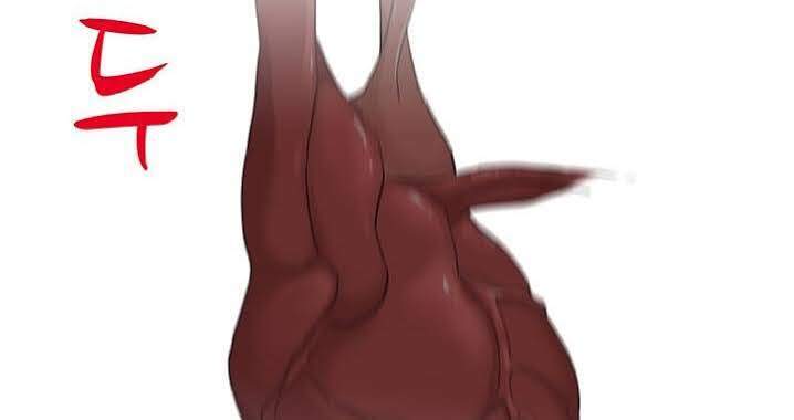 Người Trở Về Từ Cõi Chết Chapter 38 - Trang 2