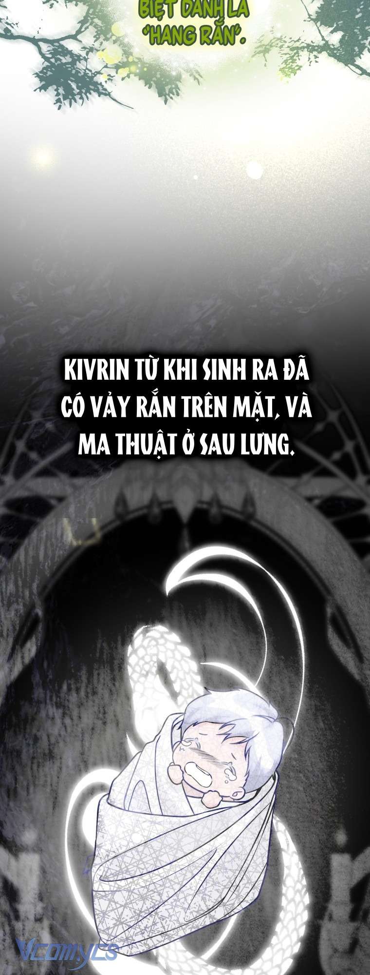 Người Vợ Hắc Ám Của Cậu Chồng Nhỏ Chapter 3 - Trang 2