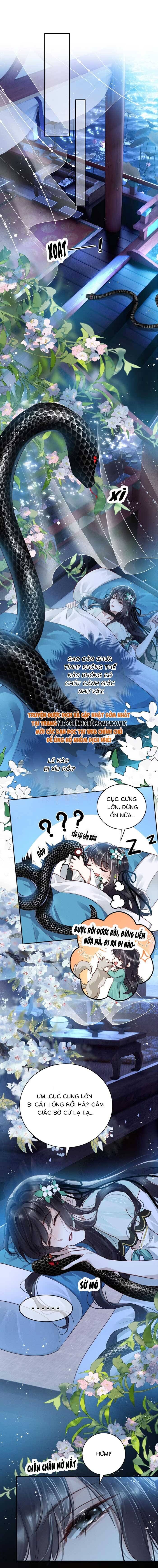 Nguyện Dâng Thân Cá Mặn Này Cho Sư Tổ Chapter 4 - Trang 2