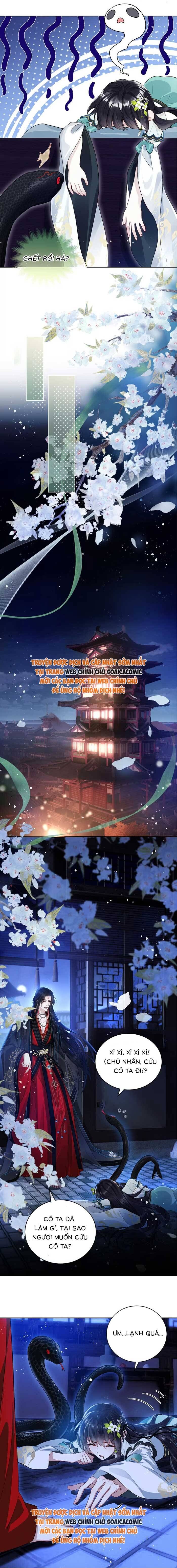 Nguyện Dâng Thân Cá Mặn Này Cho Sư Tổ Chapter 5 - Trang 2