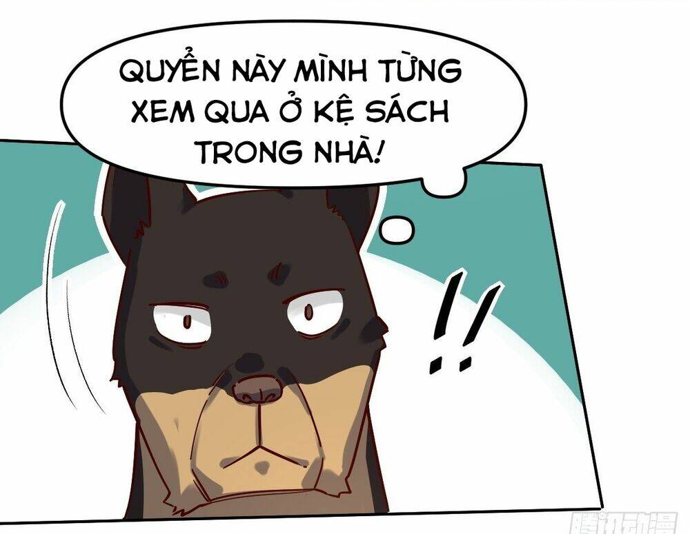 Nguyên Lai Ta Là Tu Tiên Đại Lão Chapter 14 - Trang 2