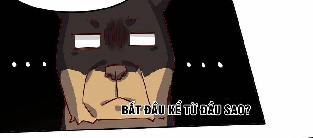 Nguyên Lai Ta Là Tu Tiên Đại Lão Chapter 14 - Trang 2