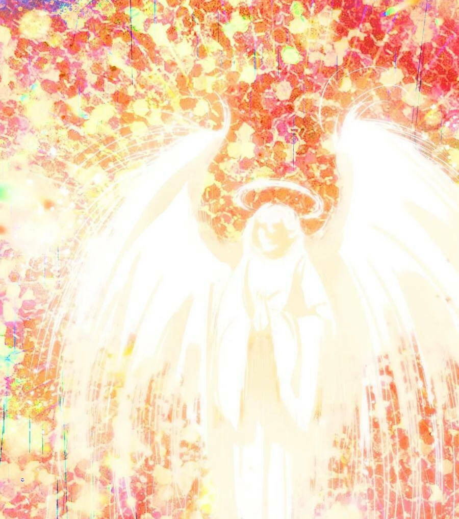 Nguyên Lai Ta Là Tu Tiên Đại Lão Chapter 212 - Trang 2