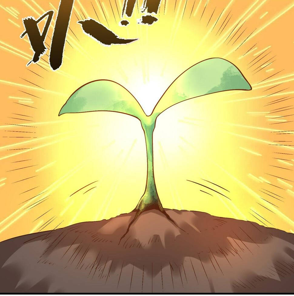 Nguyên Lai Ta Là Tu Tiên Đại Lão Chapter 219 - Trang 2