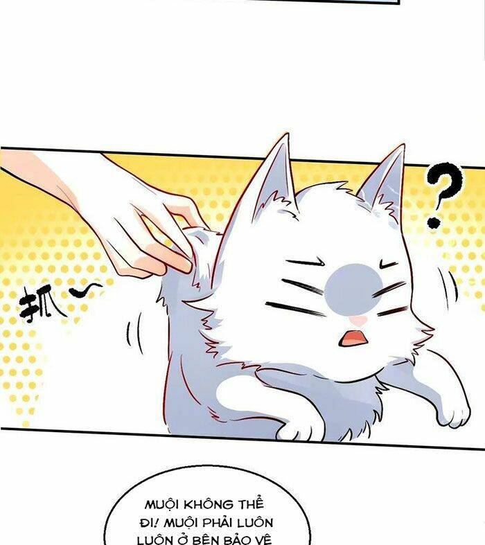 Nguyên Lai Ta Là Tu Tiên Đại Lão Chapter 241 - Trang 2