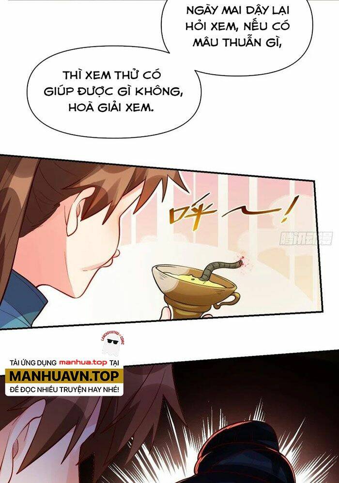 Nguyên Lai Ta Là Tu Tiên Đại Lão Chapter 257 - Trang 2