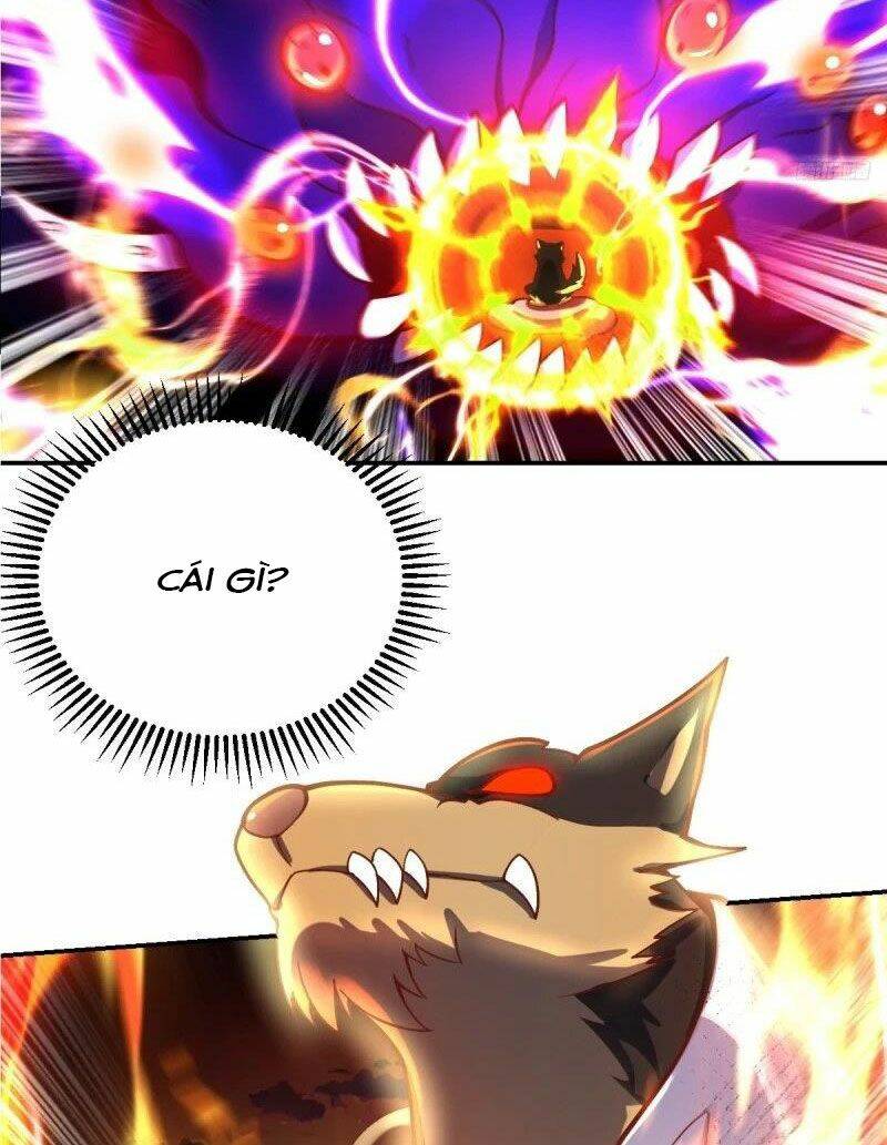 Nguyên Lai Ta Là Tu Tiên Đại Lão Chapter 261 - Trang 2