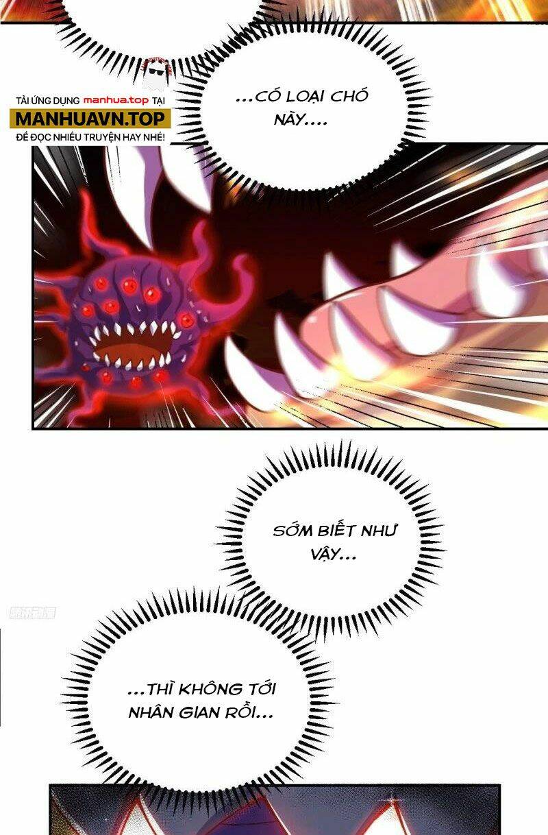 Nguyên Lai Ta Là Tu Tiên Đại Lão Chapter 261 - Trang 2