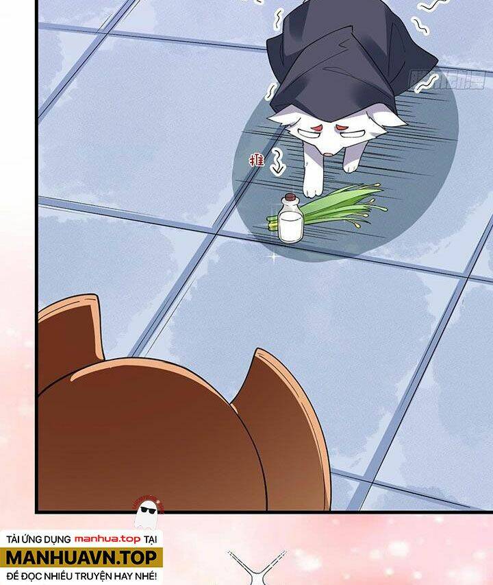 Nguyên Lai Ta Là Tu Tiên Đại Lão Chapter 278 - Trang 2