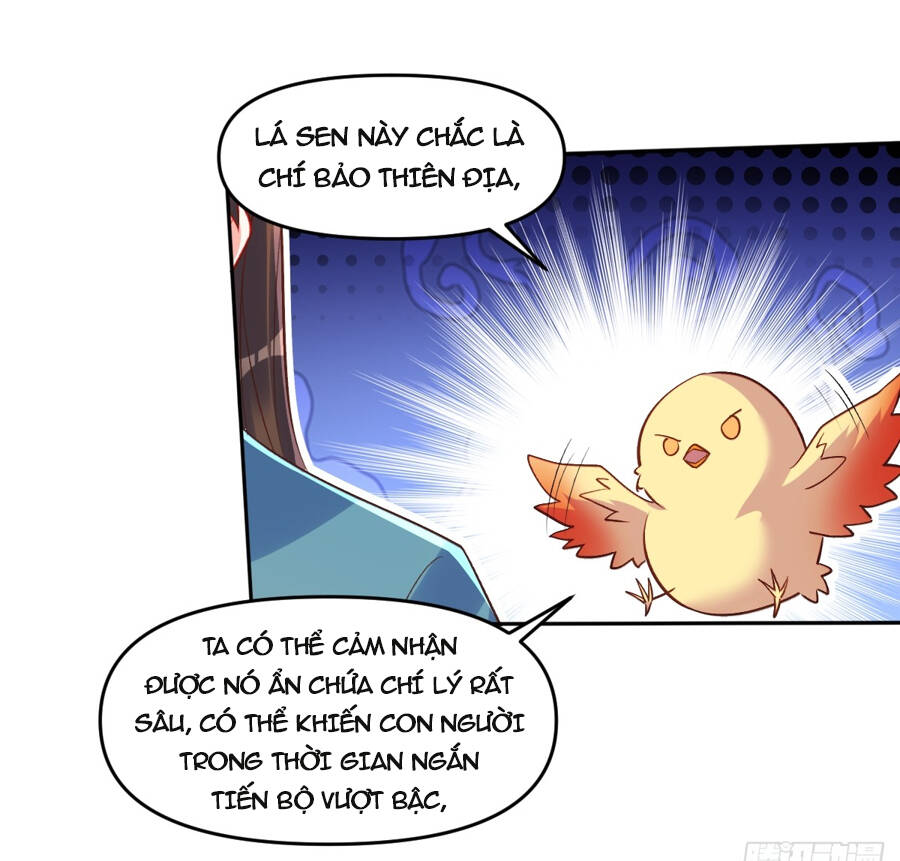 Nguyên Lai Ta Là Tu Tiên Đại Lão Chapter 284 - Trang 2