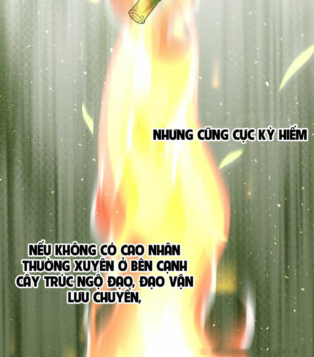 Nguyên Lai Ta Là Tu Tiên Đại Lão Chapter 30 - Trang 2
