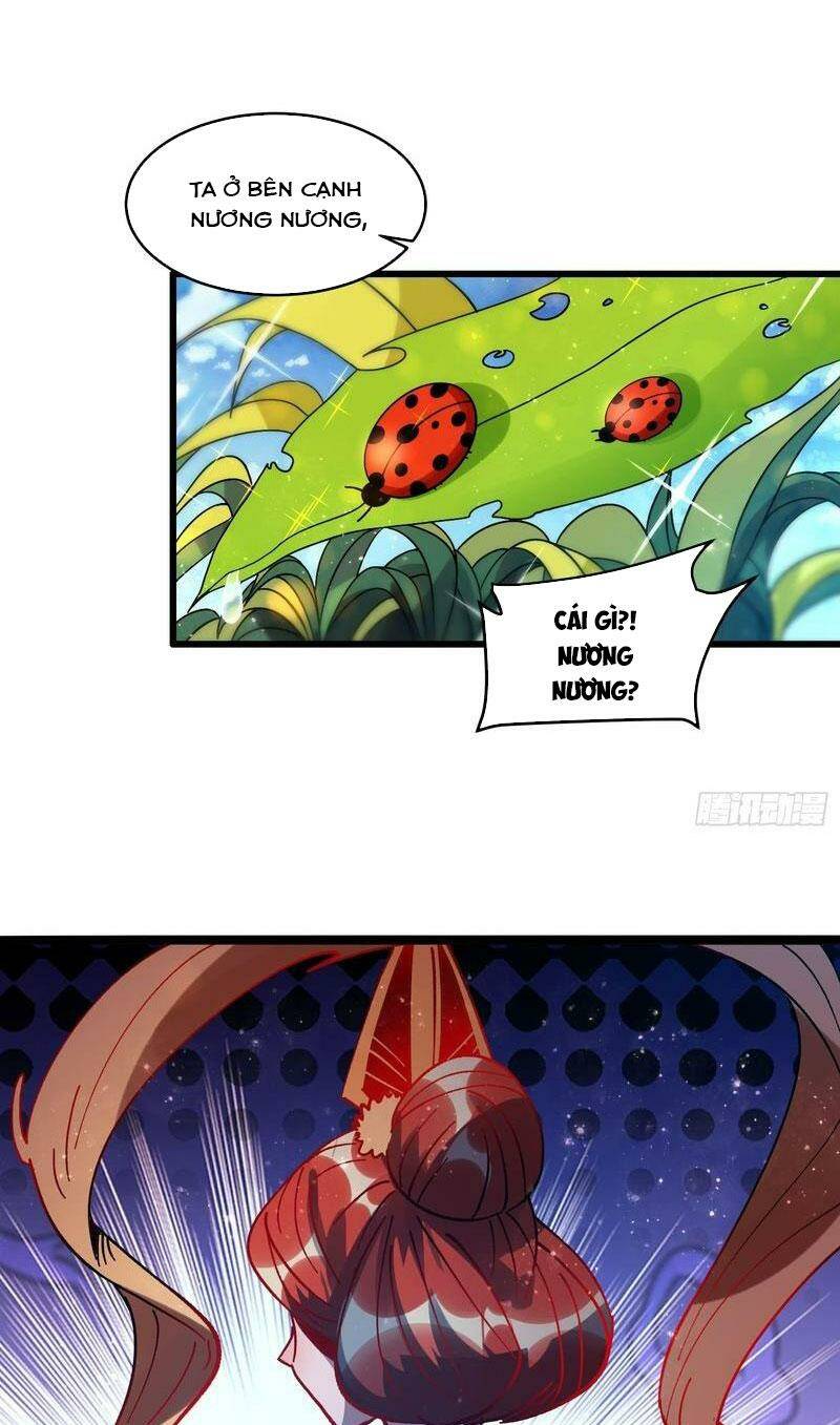 Nguyên Lai Ta Là Tu Tiên Đại Lão Chapter 308 - Trang 2