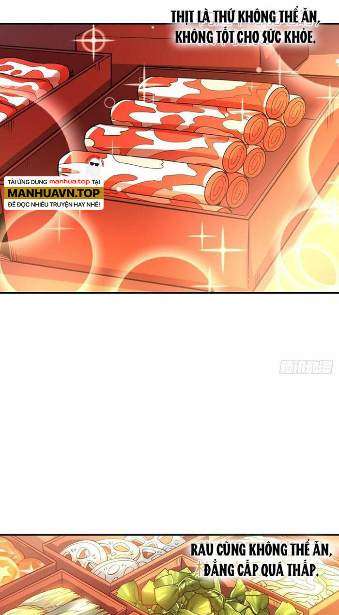 Nguyên Lai Ta Là Tu Tiên Đại Lão Chapter 315 - Trang 2