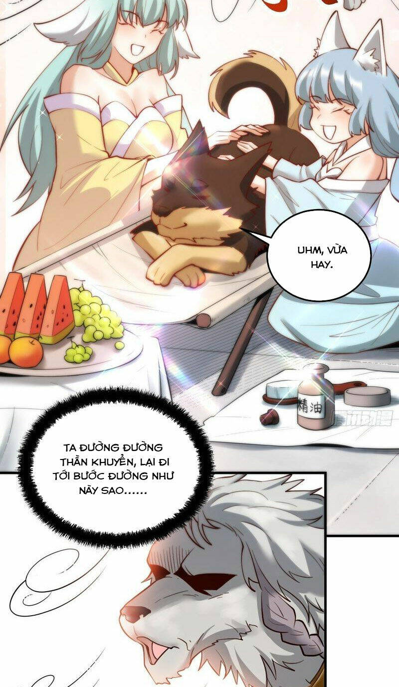 Nguyên Lai Ta Là Tu Tiên Đại Lão Chapter 351 - Trang 2