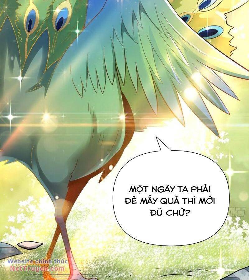 Nguyên Lai Ta Là Tu Tiên Đại Lão Chapter 399 - Trang 2