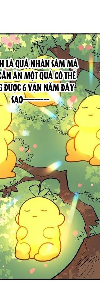 Nguyên Lai Ta Là Tu Tiên Đại Lão Chapter 422 - Trang 2