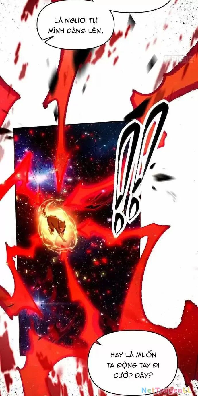 Nguyên Lai Ta Là Tu Tiên Đại Lão Chapter 430 - Trang 2