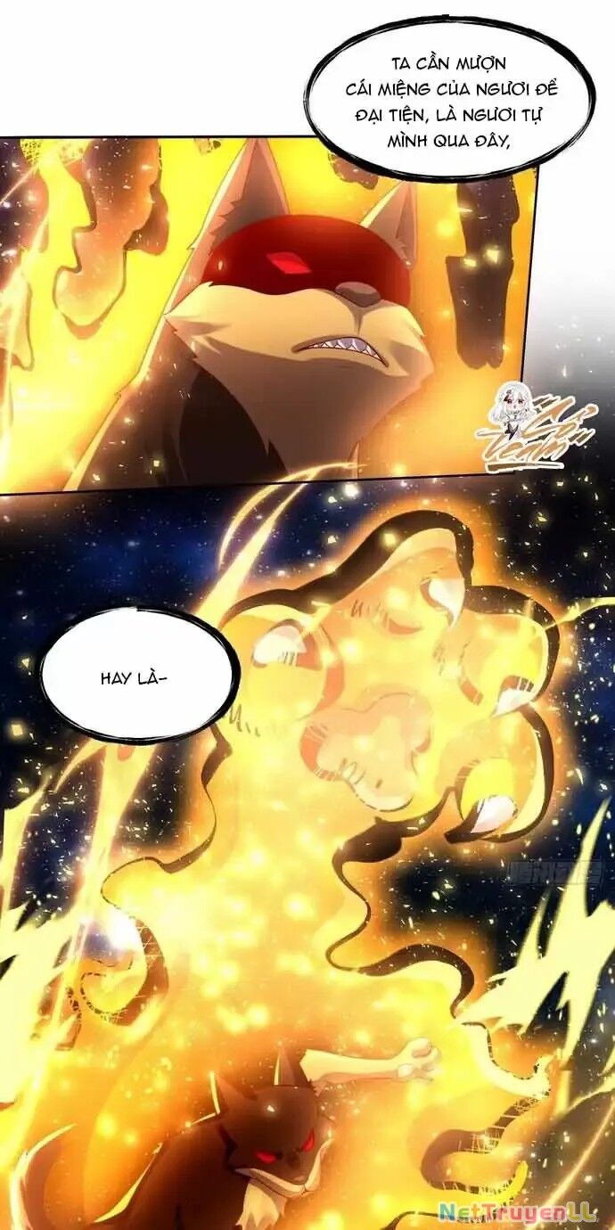 Nguyên Lai Ta Là Tu Tiên Đại Lão Chapter 430 - Trang 2