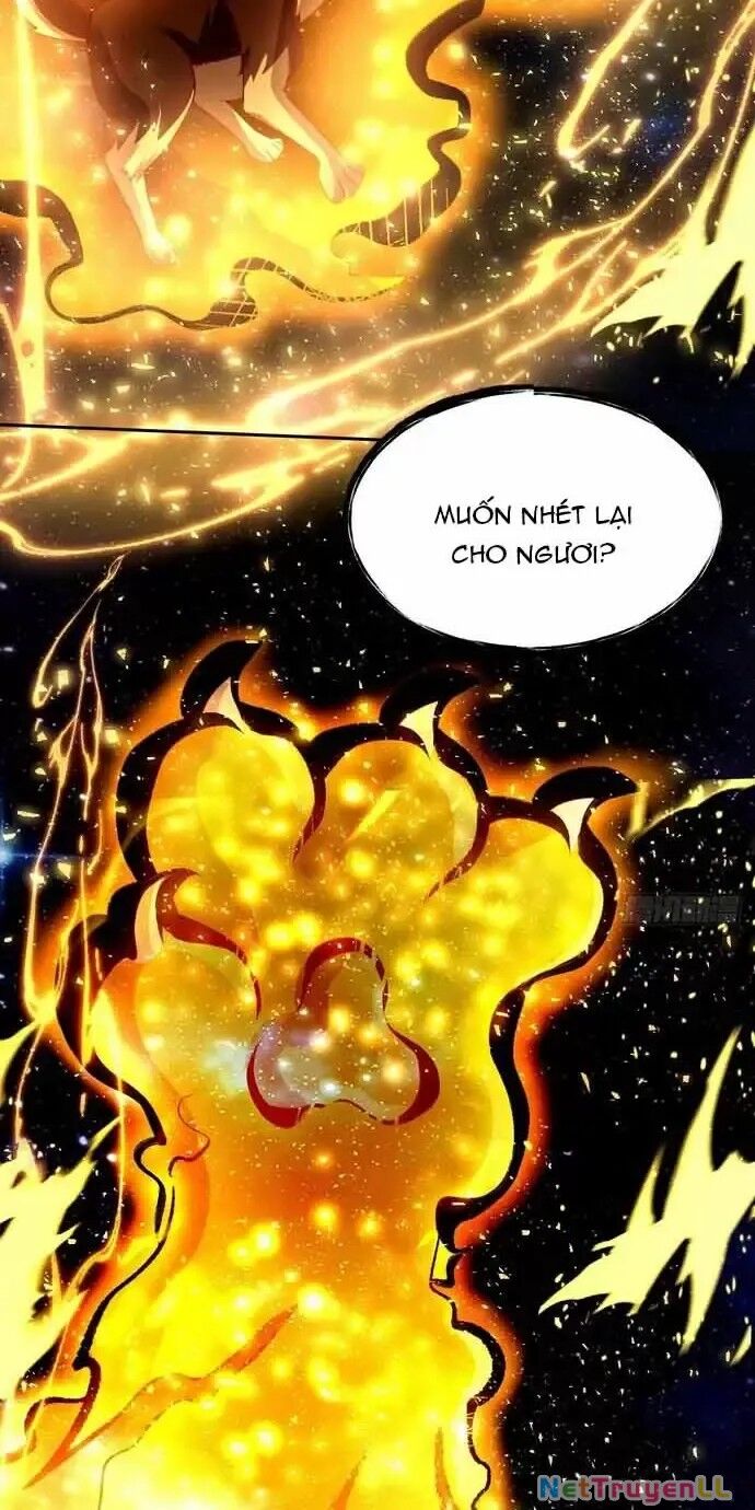 Nguyên Lai Ta Là Tu Tiên Đại Lão Chapter 430 - Trang 2