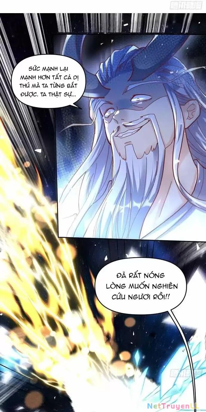 Nguyên Lai Ta Là Tu Tiên Đại Lão Chapter 430 - Trang 2
